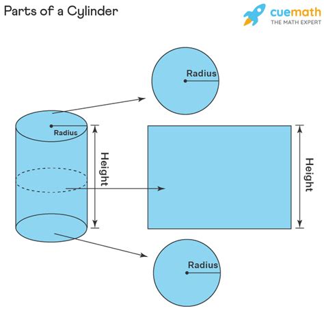 Cylinder - Formula, Definition, Examples | Cylinder Shape (2022)