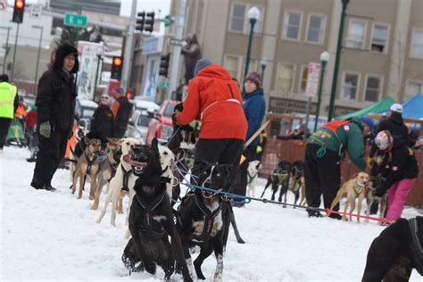 Fur Rondy's sled dog sprint races draw a large crowd to downtown Anchorage - Alaska Public Media