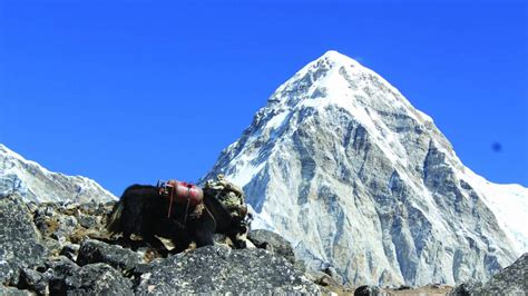 Everest Base Camp Trek | experitour.com