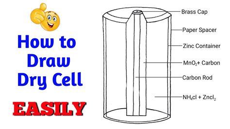 Draw Labelled Diagram Of Dry Cell | Porn Sex Picture