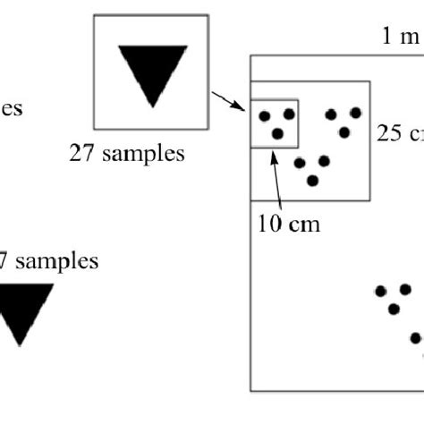 The arrangement of samples in the biotope. | Download Scientific Diagram