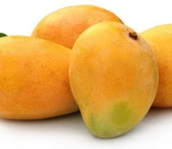 Langra Mango by Raushan Kumar from Samastipur Bihar | ID - 5461342