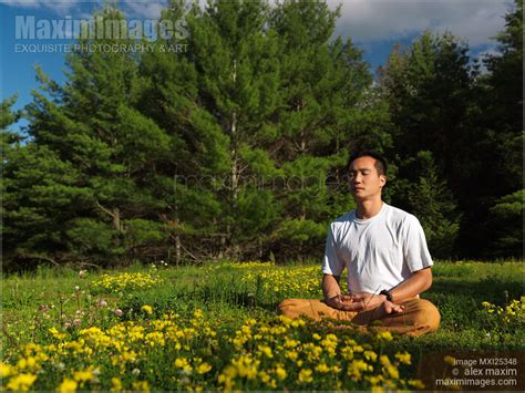 Photo of Person meditating in summer nature during sunrise | Stock Image MXI25348