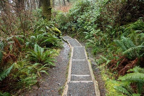 Embracing Winter Weather at Olympic National Park — Leslie Carvitto Photography