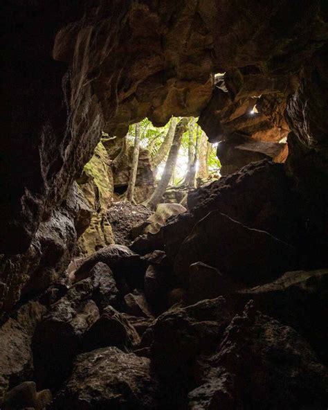 Abbey Caves: one of the best adventures in Whangarei — Walk My World