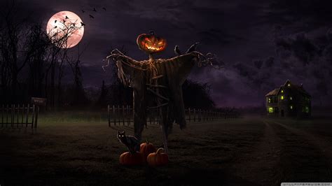 🔥 Download Spooky Path 4k HD Desktop Wallpaper For Ultra Tv Wide by @chardy | Halloween ...