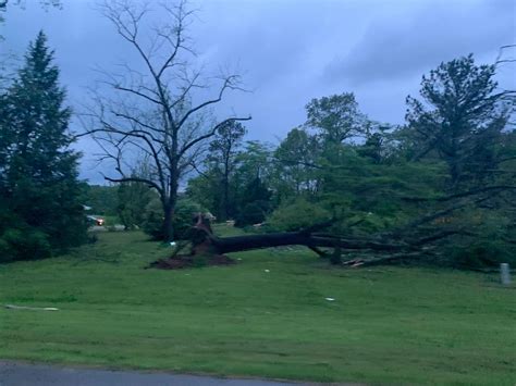 GALLERY: Storm damage in Middle Tennessee | WKRN News 2