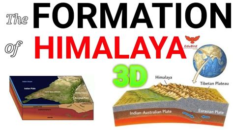 What Caused The Formation Of The Himalayas