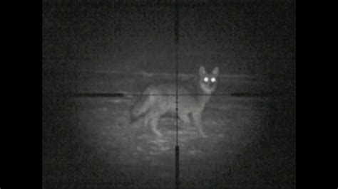 Coyote Night Vision Digital Crosshairs, Savage A17 HMR, 80 yards. - YouTube