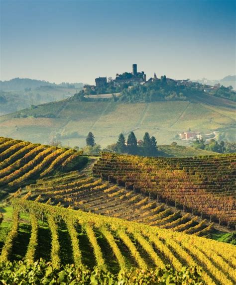 The Other Tuscany: The Piedmont Wine Country | Piedmont wine, Italy wine, Wine country