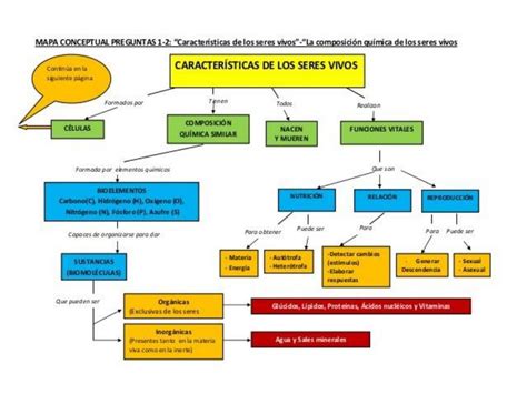 Mapa conceptual de las características de los seres vivos | uDocz