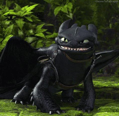 Toothless GIF - Find & Share on GIPHY