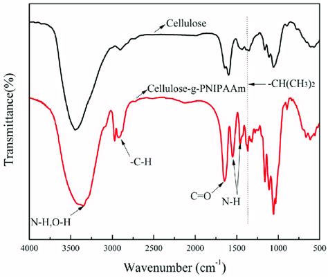 The Fourier Transform Infrared spectroscopy spectra of the cellulose ...