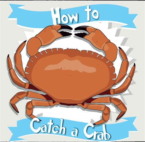 How To Catch A Crab | Outdoor Fun | Cartridgesave