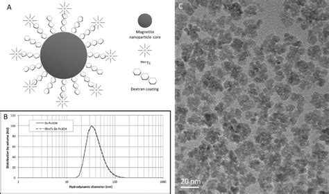 Dual magnetic/radioactive tracer. a Schematic diagram of 99mTC-dx-Fe3O4... | Download Scientific ...