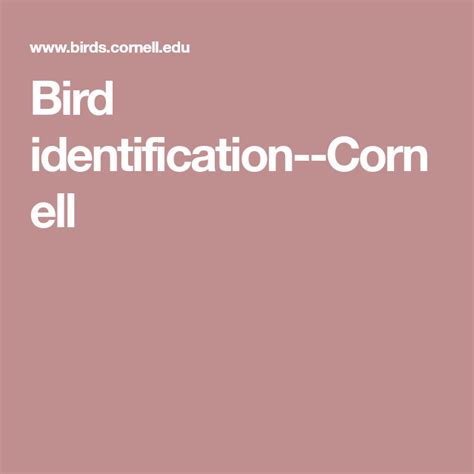 Bird identification--Cornell | Bird identification, Ornithology, Birder