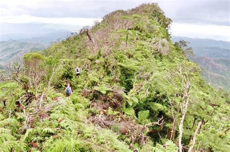 Hiking Mount Tomanivi | Climbing The Highest Mountain In Fiji (+ Tips ...