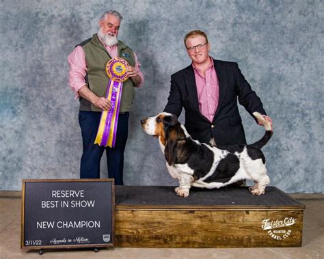 Mozart UKC Show - Mozart Champion European Basset Hound Male