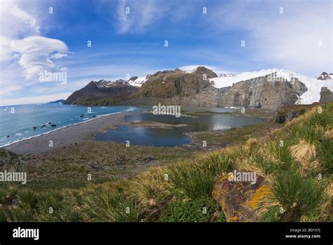 Hanging glacier at Gold Harbour South Georgia Antarctica Stock Photo ...