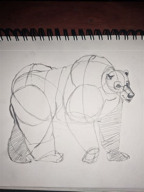 ArtStation - Bear Sketch