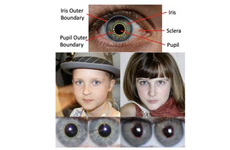 AI Researchers Propose A Method Using Irregular Pupil Shapes To Identify GAN Generated Synthetic ...