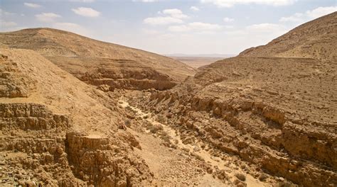 Negev Desert Travel Guide: Best of Negev Desert, Southern District ...