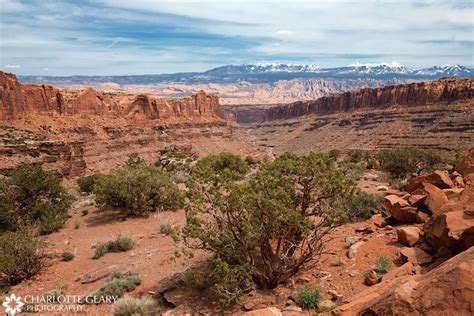 Camping trip in Moab, Utah – Charlotte Geary | Northern Virginia commercial and portrait ...