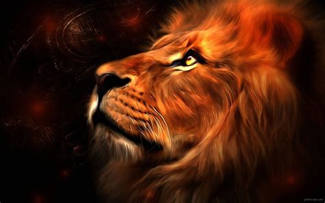 Rainbow Lion Wallpaper (57+ images)