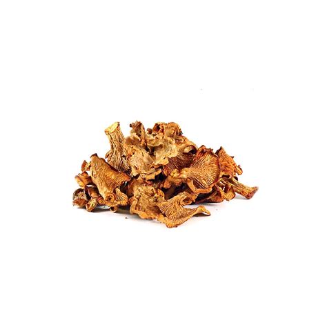 Dried Chanterelle – FruitHub