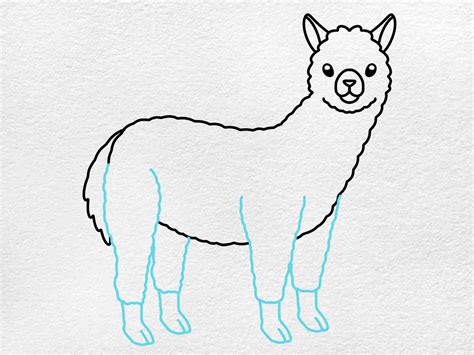 How to Draw an Alpaca - HelloArtsy