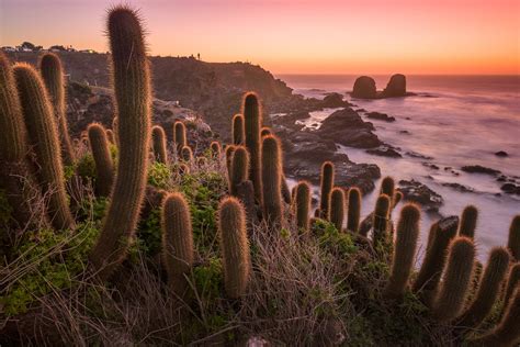 Pichilemu - Chile Travel