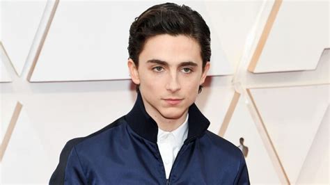 Twitter thinks Timothée Chalamet looked like a gym teacher at the 2020 ...