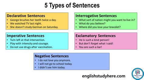 5 Types of Sentences, Definition and Examples - English Study Here