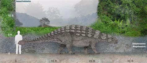 Ankylosaurus Size by SameerPrehistorica on DeviantArt