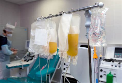 Plasmapheresis Procedure Stock Photos, Pictures & Royalty-Free Images - iStock