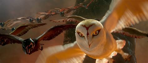 Image - 2010 legend of the guardians the owls of ga hoole 021.jpg ...