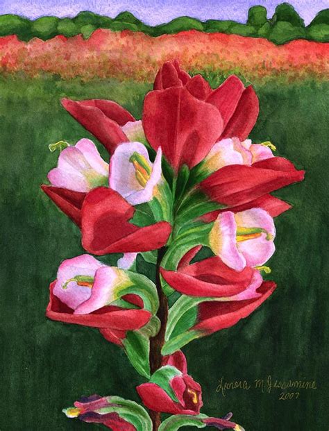 Indian Paintbrush Painting by Lonora Jessamine