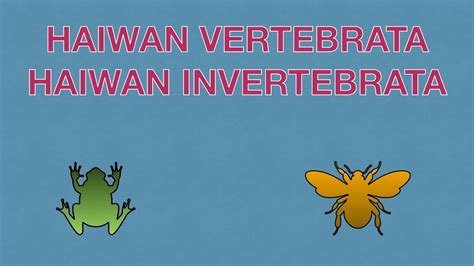 Sains Tahun 4: Haiwan Vertebrata dan Haiwan Invertebrata I #cikgooTube ...