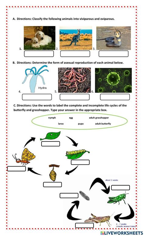 Animal Reproduction & Animal Life Cycles 1621709