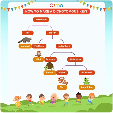 How To Make A Dichotomous Key? | DIY Science Project Ideas