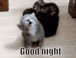 Funny Good Night GIFs | GIFDB.com