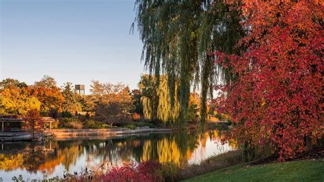 Fall Colors Are on Full Display at Chicago Botanic Garden | Chicago ...