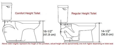 What Is the Difference between Chair Height and Comfort Height Toilets ...