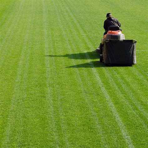 Cut Like a Pro: The Best Lawn Mowing Patterns