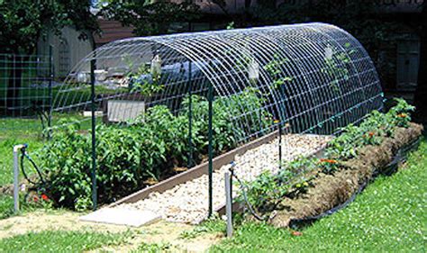 21 Cheap & Easy DIY Greenhouse Designs You Can Build Yourself | Garden ...