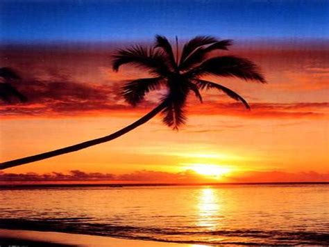 Tropical beach scene pictures - Just for Sharing