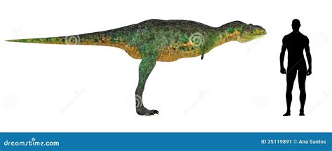 Aucasaurus Size Comparison Stock Photo | CartoonDealer.com #25119891