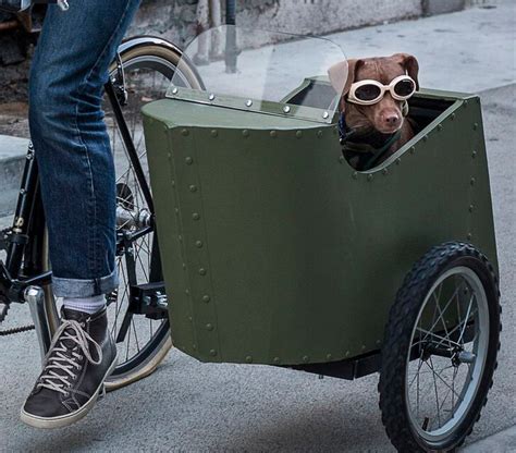 Stop Everything You're Doing and Build a Bicycle Sidecar for Your Dog ...