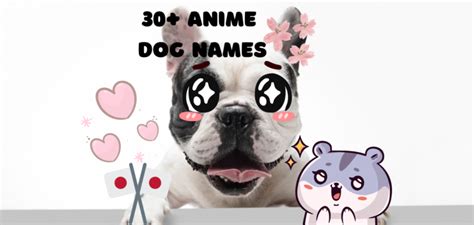 Anime Dog Names – 30+ Name Ideas for Your Canine - PetsTime