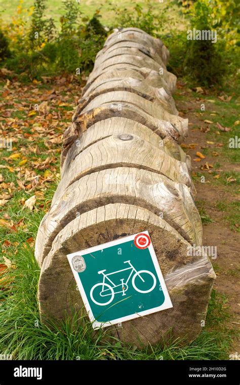 Tree trunk bike rack. Bicycle stand made of tree log Stock Photo - Alamy